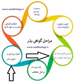 گواهی بذر