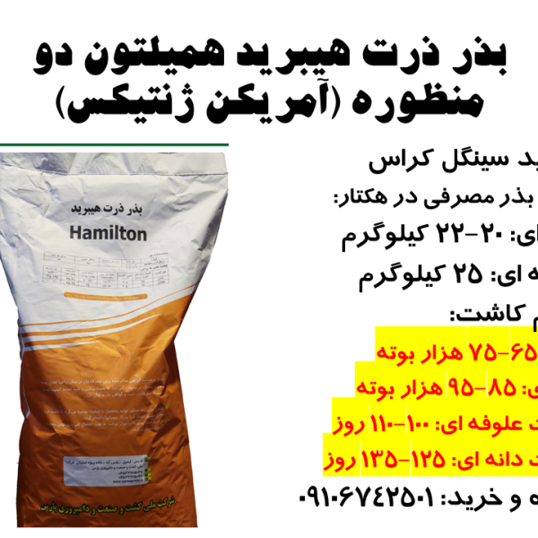 بذر ذرت هیبرید همیلتون دو منظوره