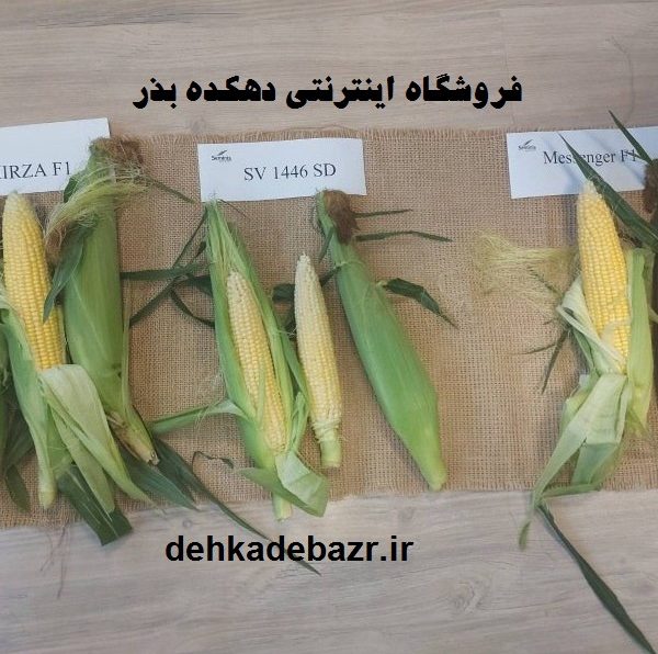مقایسه بلال میرزا و مسنجر