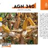 بذر ذرت agn 340 امریکن ژنتیکس مخصوص کشت دانه ای