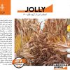 بذر ذرت jolly