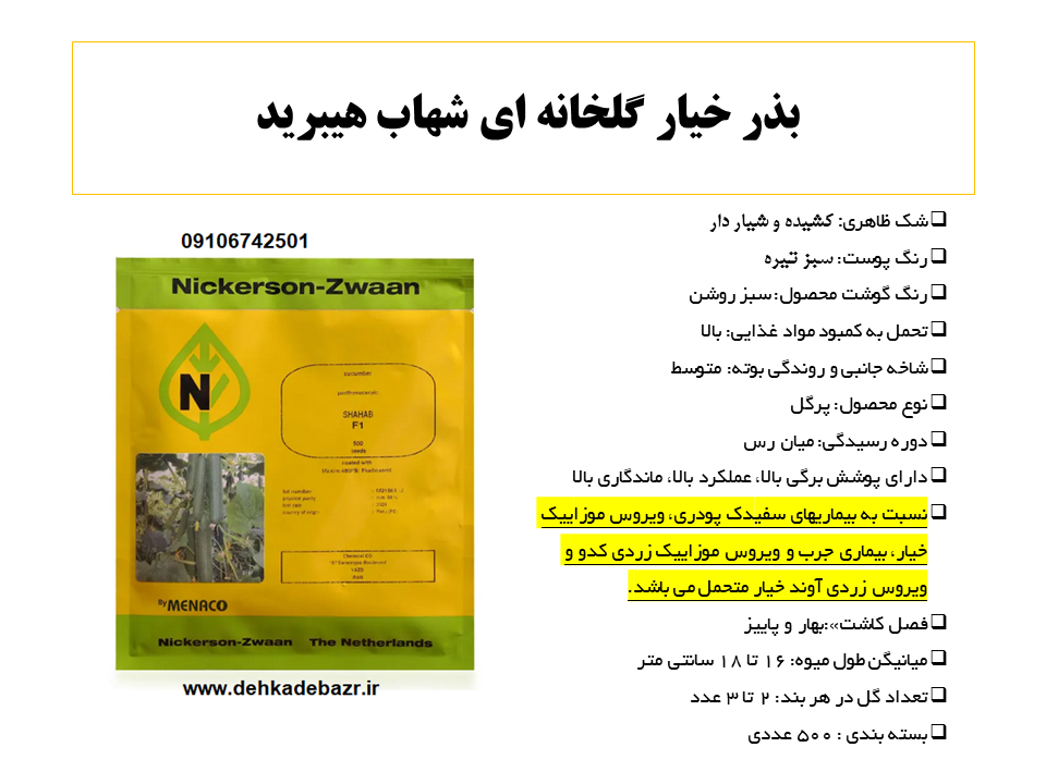 بذر خیار گلخانه ای شهاب