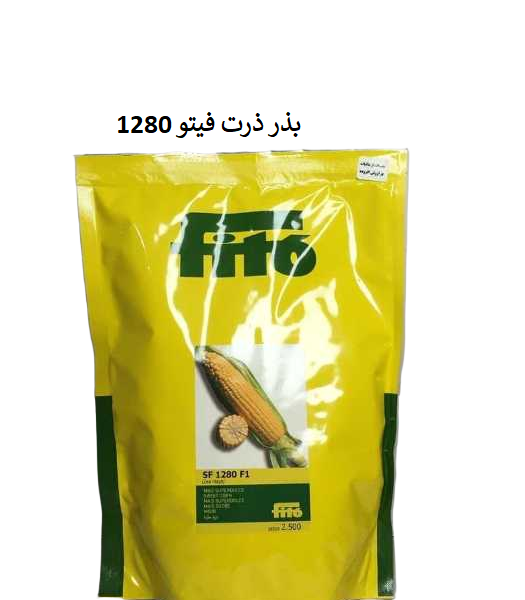 خرید بذر ذرت فیتو 1280