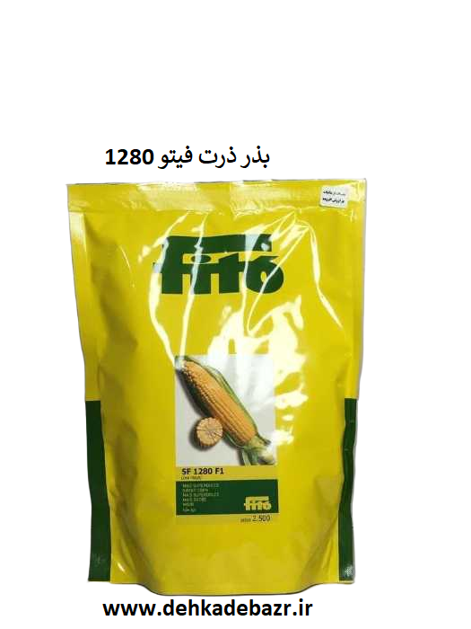 خرید بذر ذرت فیتو 1280