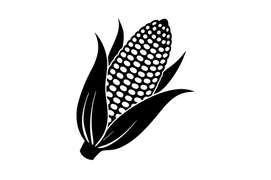 بذر فضای باز