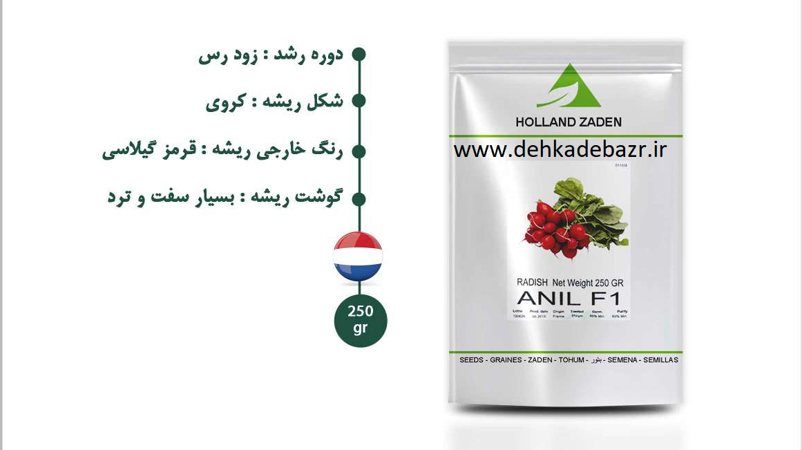خرید بذر تربچه هیبرید