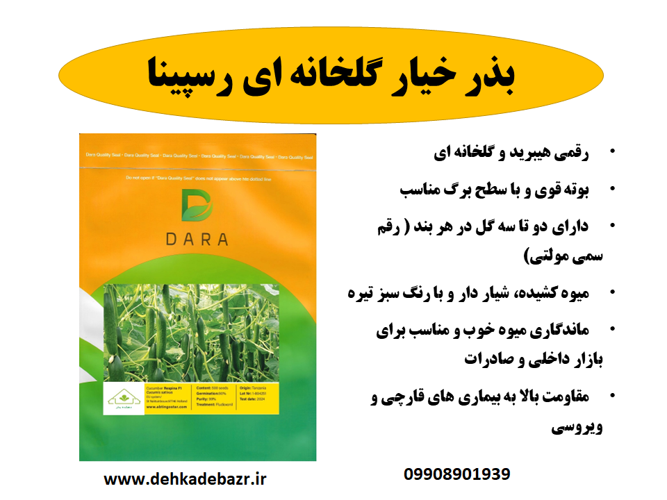 بذر خیار گلخانه ای رسپینا (500 عددی ) - Image 2