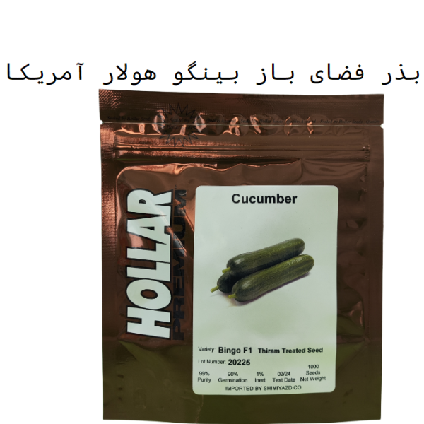 خرید بذر بینگو هولار