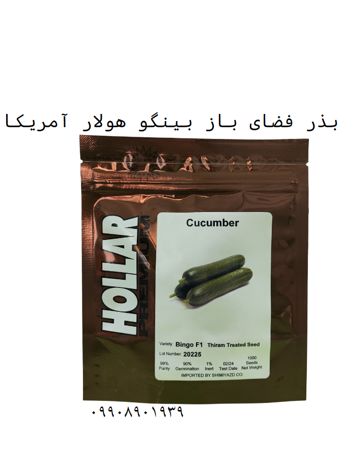 خرید بذر بینگو هولار
