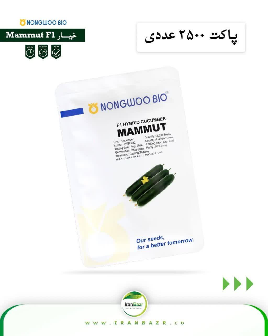 بذر خیار ماموت(هیبرید فضای باز) - Image 4