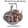پیاز زعفران سورت شده (وزن بالای 8 گرم و بدون خاک)