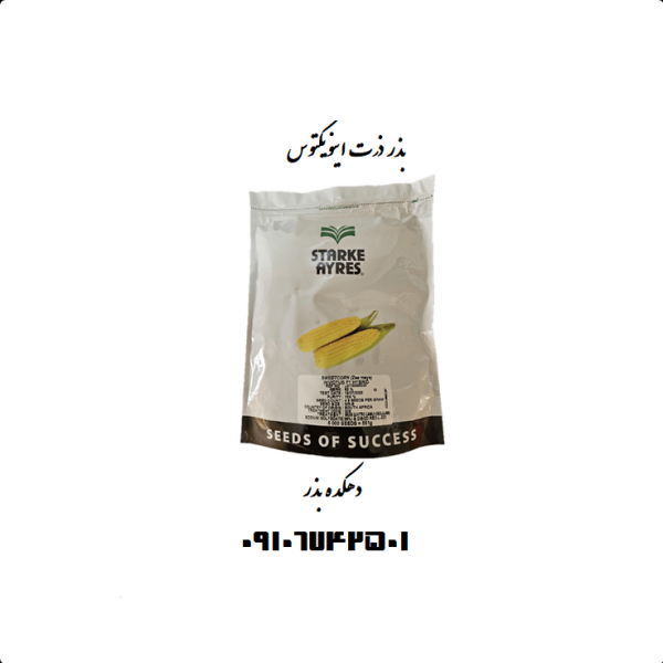 بذر ذرت اینویکتوس