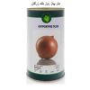 خرید بذر پیاز