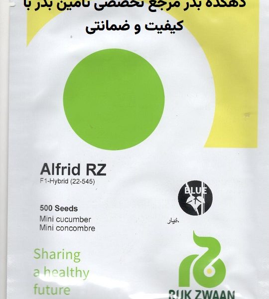 بذر خیار گلخانه ای آلفرد (رکروزان هلند 2024 )پرگل