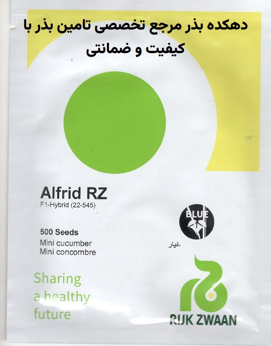 بذر خیار گلخانه ای آلفرد (رکروزان هلند 2024 )پرگل