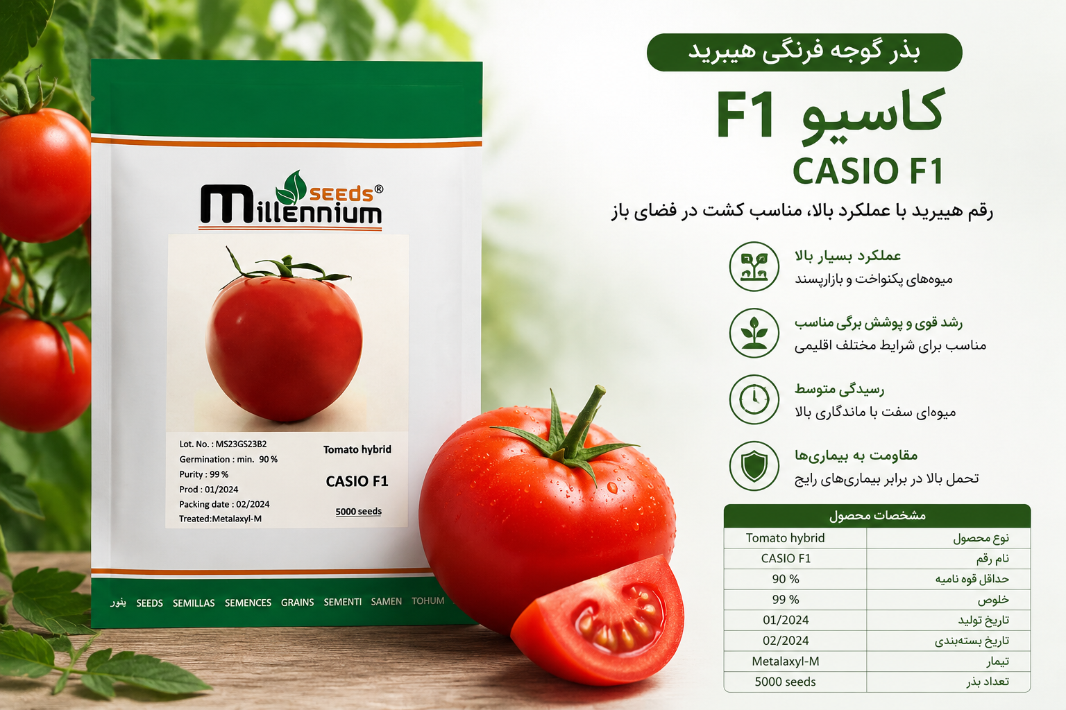 casio hybrid tomato seeds بذر گوجه کاسیو