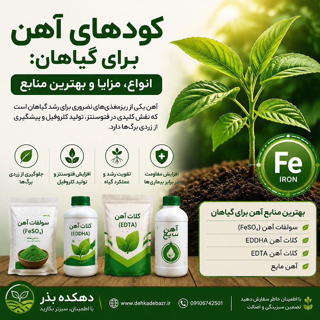 کودهای آهن برای گیاهان: انواع، مزایا و بهترین منابع the importance of iron fertilizer in agriculture